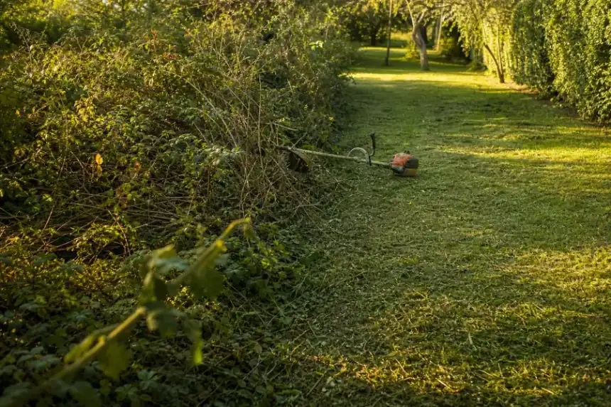 Terrain de fond de parcelle à moitié débroussaillé : moitié gauche encore en friche de ronces, moitié droite fauchée net, débroussailleuse posée sur la ligne de partage, lumière d'automne.